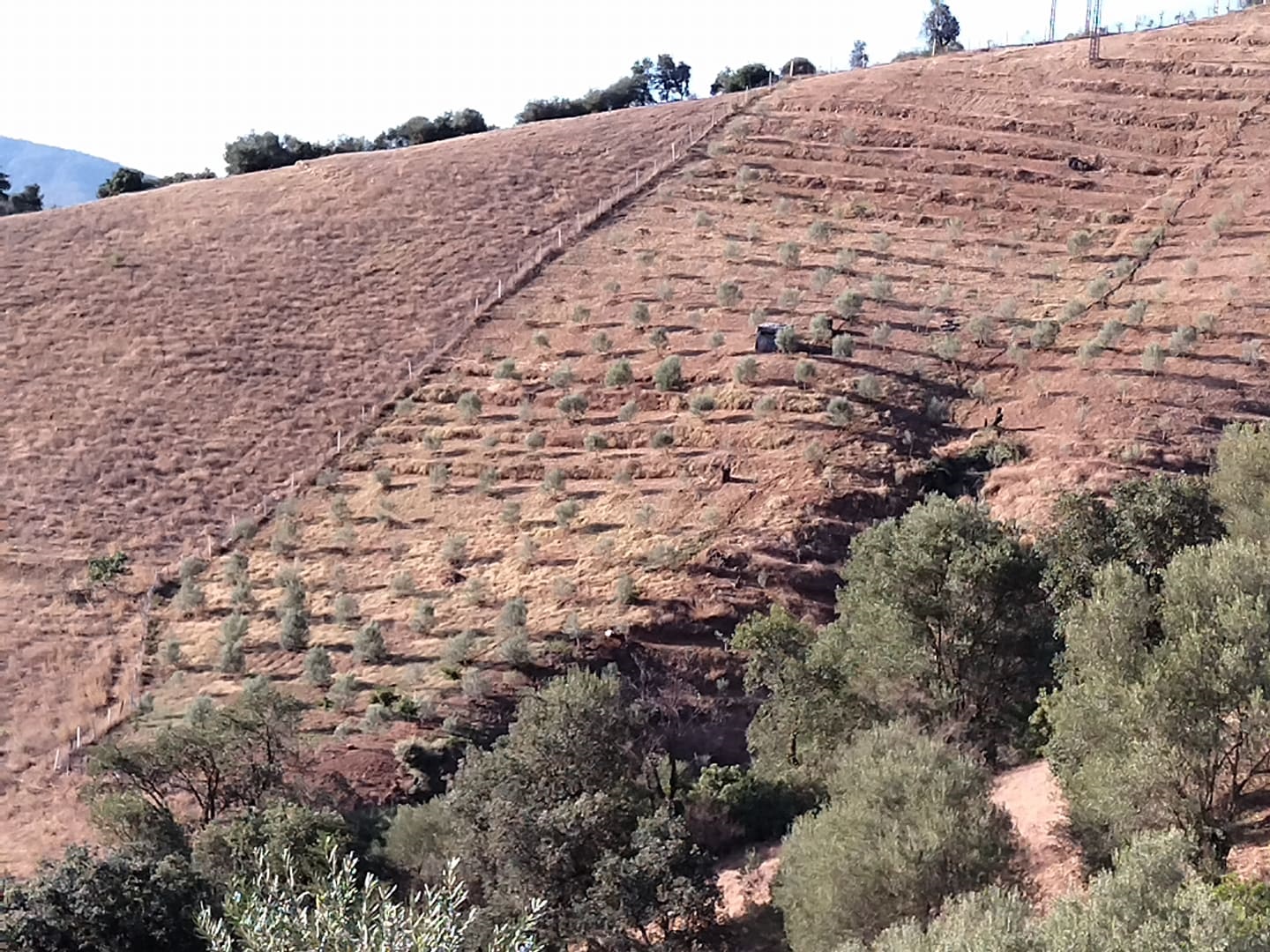 7-projet-1000-olivierz 7-projet-1000-olivierz