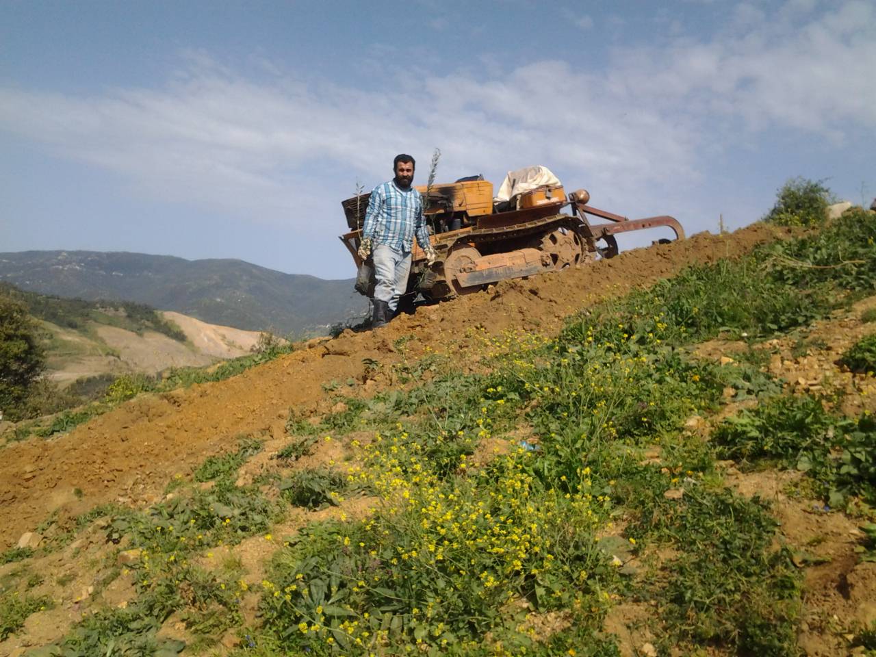 Pflanzen-5-Copie Pflanzen-5-Copie